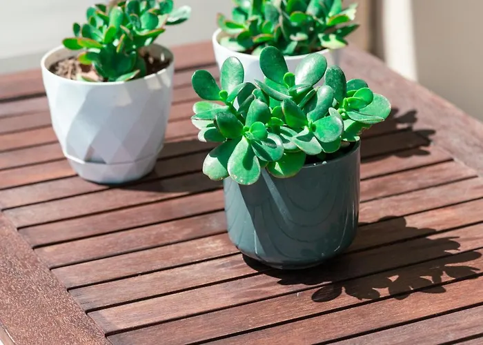 Airzen Casa de Férias Cós